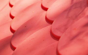 Tregony plastic roof costs